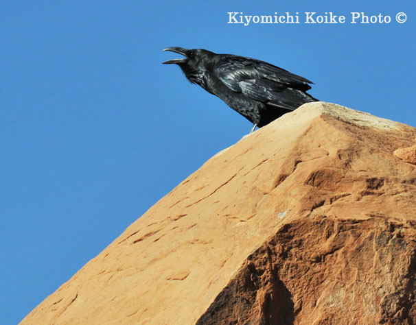 Arches National Park